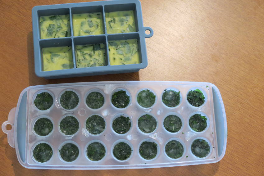 Herb ice cubes 7